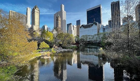 Pacote Estados Unidos - Imagem 4